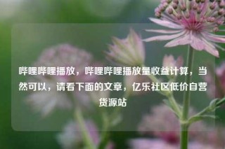 哔哩哔哩播放，哔哩哔哩播放量收益计算，当然可以，请看下面的文章，亿乐社区低价自营货源站