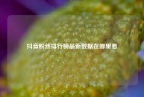 抖音粉丝排行榜最新数据在哪里看