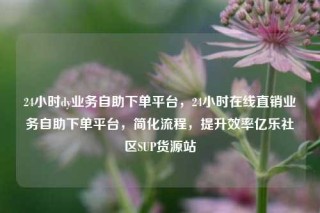 24小时dy业务自助下单平台,24小时在线直销业务自助下单平台,简化流程,提升效率亿乐社区SUP货源站