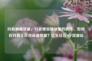 抖音刷播放量,抖音增加播放量的软件,如何在抖音上获得高播放量?亿乐社区SUP货源站