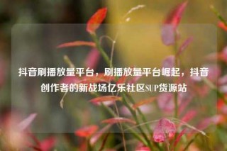 抖音刷播放量平台,刷播放量平台崛起,抖音创作者的新战场亿乐社区SUP货源站