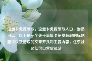 流量卡免费领取,流量卡免费领取入口,当然可以!以下是一个关于流量卡免费领取的标题建议以及相应的文章开头和主要内容,亿乐社区低价自营货源站