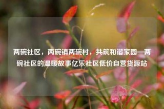 两碗社区,两碗镇两碗村,共筑和谐家园—两碗社区的温暖故事亿乐社区低价自营货源站