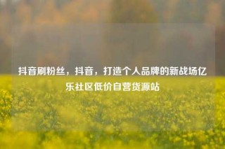 抖音刷粉丝,抖音,打造个人品牌的新战场亿乐社区低价自营货源站