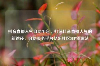 抖音直播人气自助平台,打造抖音直播人气的新途径,自助服务平台亿乐社区SUP货源站