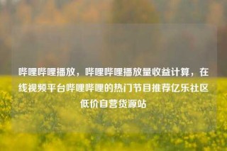 哔哩哔哩播放,哔哩哔哩播放量收益计算,在线视频平台哔哩哔哩的热门节目推荐亿乐社区低价自营货源站