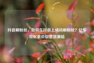 抖音刷粉丝,如何在抖音上成功刷粉丝?亿乐社区低价自营货源站