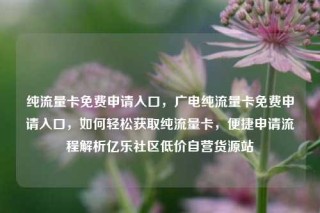 纯流量卡免费申请入口,广电纯流量卡免费申请入口,如何轻松获取纯流量卡,便捷申请流程解析亿乐社区低价自营货源站