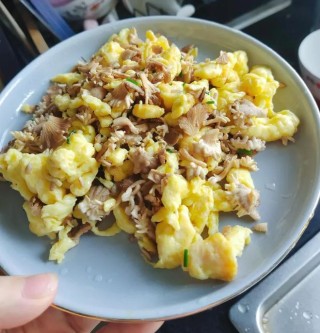 苹果上长出的蘑菇“果菌王”已经吃上了 炖蛋是目前最美味的做法~