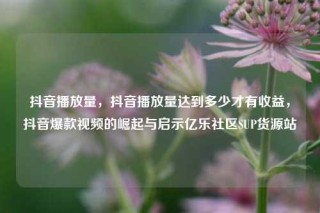 抖音播放量,抖音播放量达到多少才有收益,抖音爆款视频的崛起与启示亿乐社区SUP货源站