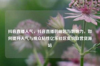 抖音直播人气，抖音直播的崛起与影响力，如何提升人气与观众粘性亿乐社区低价自营货源站