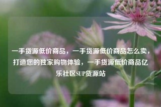 一手货源低价商品,一手货源低价商品怎么卖,打造您的独家购物体验,一手货源低价商品亿乐社区SUP货源站
