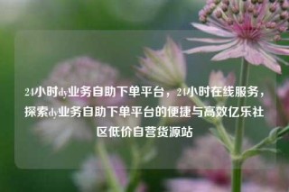 24小时dy业务自助下单平台,24小时在线服务,探索dy业务自助下单平台的便捷与高效亿乐社区低价自营货源站