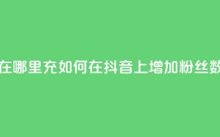 抖音粉丝在哪里充 - 如何在抖音上增加粉丝数量?~