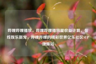 哔哩哔哩播放,哔哩哔哩播放量收益计算,在线娱乐新宠,哔哩哔哩的精彩世界亿乐社区SUP货源站