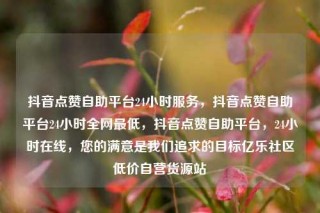 抖音点赞自助平台24小时服务,抖音点赞自助平台24小时全网最低,抖音点赞自助平台,24小时在线,您的满意是我们追求的目标亿乐社区低价自营货源站