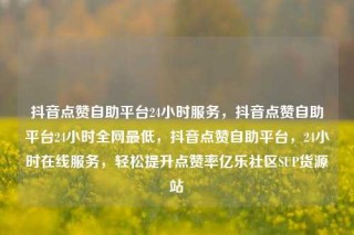 抖音点赞自助平台24小时服务,抖音点赞自助平台24小时全网最低,抖音点赞自助平台,24小时在线服务,轻松提升点赞率亿乐社区SUP货源站