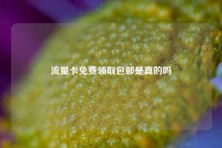 流量卡免费领取包邮是真的吗