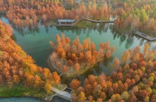 上海市重大工程一季度开局良好,多项生态类项目按计划实施