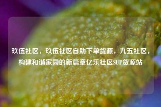 玖伍社区,玖伍社区自助下单货源,九五社区,构建和谐家园的新篇章亿乐社区SUP货源站