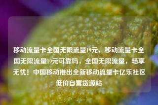 移动流量卡全国无限流量19元,移动流量卡全国无限流量19元可靠吗,全国无限流量,畅享无忧!中国移动推出全新移动流量卡亿乐社区低价自营货源站