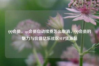 QQ会员,qq会员自动续费怎么取消,QQ会员的魅力与价值亿乐社区SUP货源站