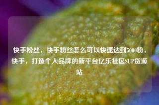 快手粉丝,快手粉丝怎么可以快速达到5000粉,快手,打造个人品牌的新平台亿乐社区SUP货源站