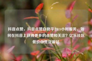 抖音点赞,抖音点赞自助平台24小时服务,如何在抖音上获得更多的点赞和关注?亿乐社区低价自营货源站