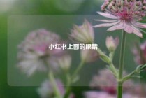 小红书上面的眼睛
