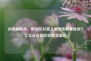 抖音刷粉丝,如何在抖音上高效地积累粉丝?亿乐社区低价自营货源站