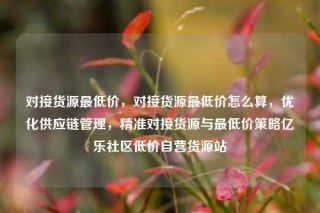 对接货源最低价,对接货源最低价怎么算,优化供应链管理,精准对接货源与最低价策略亿乐社区低价自营货源站