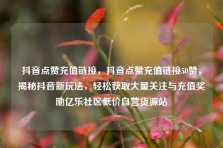 抖音点赞充值链接,抖音点赞充值链接50赞,揭秘抖音新玩法,轻松获取大量关注与充值奖励亿乐社区低价自营货源站