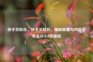 快手买粉丝,快手买粉丝,揭秘黑幕与风险亿乐社区SUP货源站