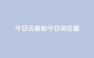 今日访客和今日浏览量,q赞助手最新版下载 - qq绝版名片代码大全 - 抖音下单24小时