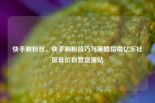 快手刷粉丝,快手刷粉技巧与策略指南亿乐社区低价自营货源站
