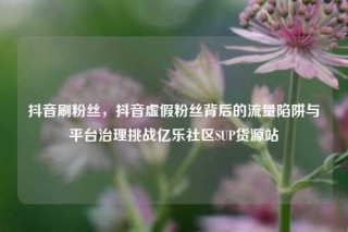 抖音刷粉丝,抖音虚假粉丝背后的流量陷阱与平台治理挑战亿乐社区SUP货源站