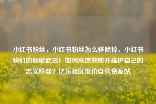小红书粉丝,小红书粉丝怎么移除掉,小红书粉们的秘密武器!如何高效获取并维护自己的忠实粉丝?亿乐社区低价自营货源站