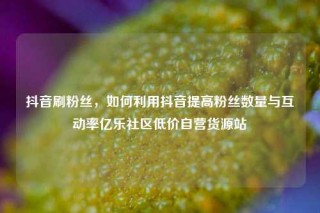 抖音刷粉丝,如何利用抖音提高粉丝数量与互动率亿乐社区低价自营货源站