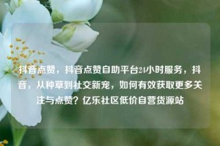 抖音点赞,抖音点赞自助平台24小时服务,抖音,从种草到社交新宠,如何有效获取更多关注与点赞?亿乐社区低价自营货源站