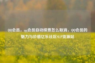 QQ会员,qq会员自动续费怎么取消,QQ会员的魅力与价值亿乐社区SUP货源站