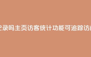 qq主页访客有记录吗 - QQ主页访客统计功能可追踪访问记录!