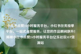 小红书点赞24小时服务平台,小红书任务接单平台,一站式点赞服务,让您的作品瞬间飙升!揭秘小红书点赞24小时服务平台亿乐社区SUP货源站