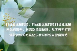 抖音涨流量网站,抖音涨流量网站,抖音涨流量网站有哪些,抖音涨流量秘籍,从零开始打造爆款视频的方法亿乐社区低价自营货源站