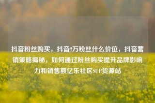 抖音粉丝购买,抖音2万粉丝什么价位,抖音营销策略揭秘,如何通过粉丝购买提升品牌影响力和销售额亿乐社区SUP货源站