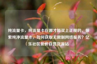 纯流量卡,纯流量卡在哪才能买上正规的,探索纯净流量卡,如何获取无限制网络服务?亿乐社区低价自营货源站