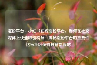 涨粉平台,小红书在线涨粉平台,如何在社交媒体上快速吸引粉丝—揭秘涨粉平台的重要性亿乐社区低价自营货源站