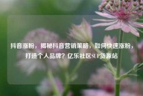 抖音涨粉，揭秘抖音营销策略，如何快速涨粉，打造个人品牌？亿乐社区SUP货源站