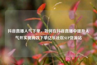 抖音直播人气下单,如何在抖音直播中提升人气并实现高效下单亿乐社区SUP货源站