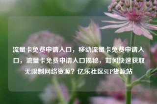 流量卡免费申请入口,移动流量卡免费申请入口,流量卡免费申请入口揭秘,如何快速获取无限制网络资源?亿乐社区SUP货源站