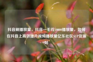 抖音刷播放量,抖音一毛钱10000播放量,如何在抖音上高效提升视频播放量亿乐社区SUP货源站